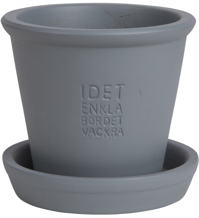 Ernst Citatkruka, ljusgrå - Ernst Kirchsteiger